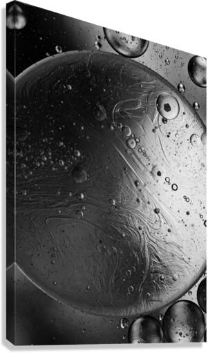 FACADE Canvas Print