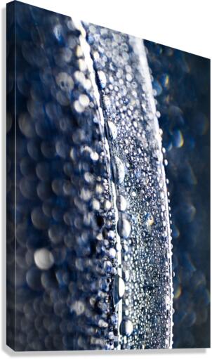 IRRADIATE Canvas Print