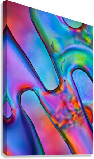 VISIONS Canvas Print