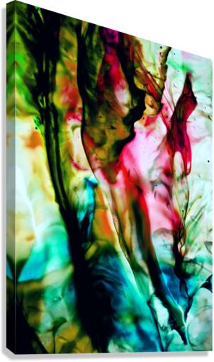 AWAKE Canvas Print