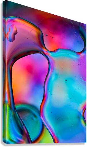 REALIZATION Canvas Print
