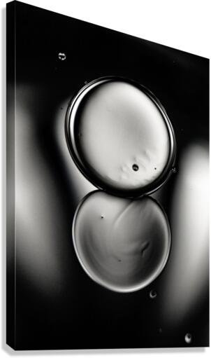 CO EXIST Canvas Print