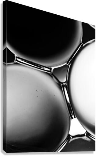 INTELLECTUAL Canvas Print