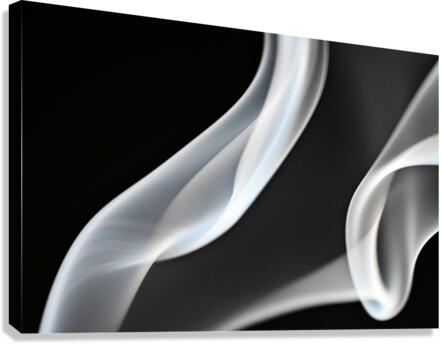 INHALE Canvas Print