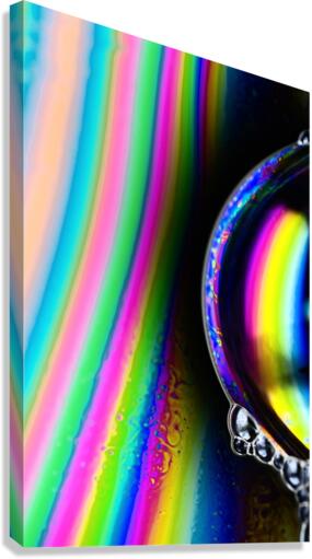 ESCAPE Canvas Print