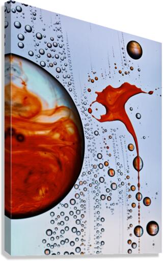 INSIGHT Canvas Print