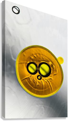 CHICKY Canvas Print