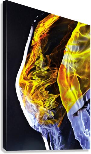 PERSUASION Canvas Print