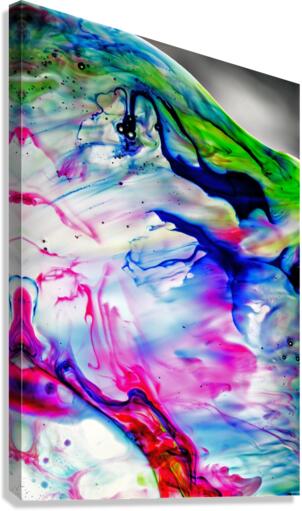 WONDEROUS Canvas Print