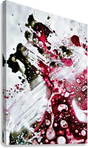 MADDNESS Canvas Print