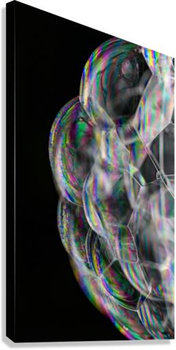SOAPY Canvas Print