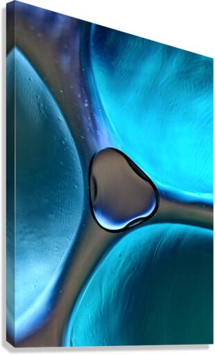 PIN POINT Canvas Print