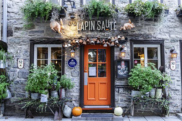 Lapin Saute by John Mehalik