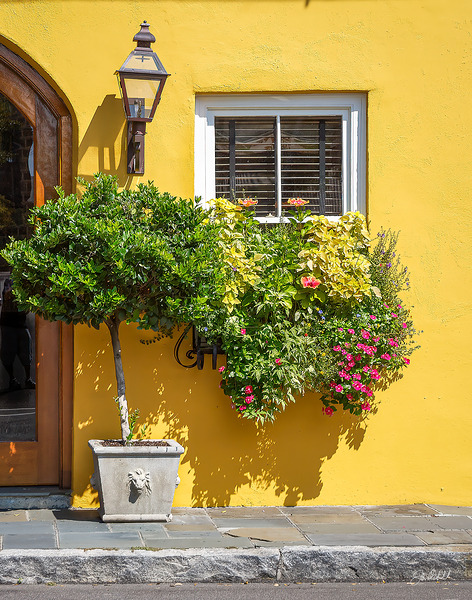 Charleston by John Mehalik