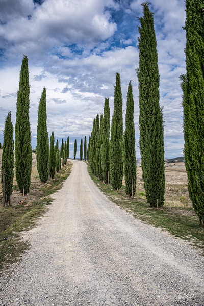 A Tuscan Road by John Mehalik