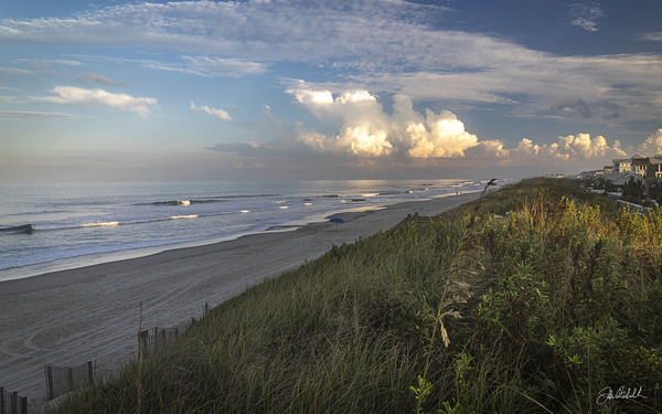 Afternoon Light Duck NC by John Mehalik