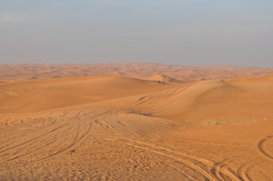 Rolling Sand Dunes