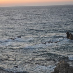 Frolicking Waves