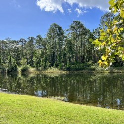Reflections