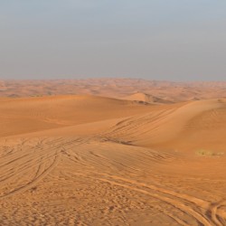 Rolling Sand Dunes