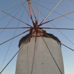 Windmill