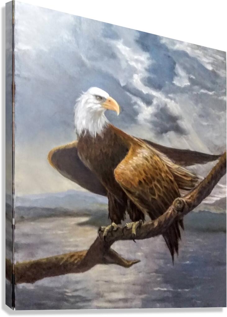 BaldEagle Canvas Print