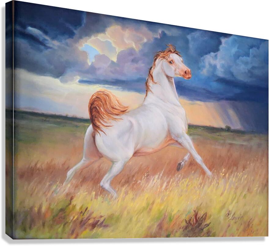 Storm Chaser Canvas Print