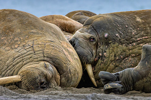 WHAT ARE YOU LOOKING AT