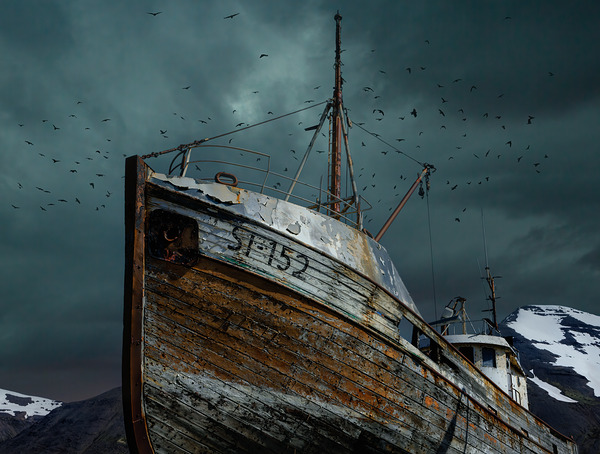 OUT OF ITS ELEMENT Digital Download