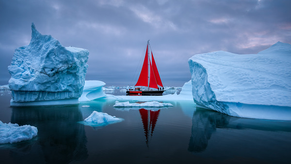 CHINESE DRAGON Digital Download