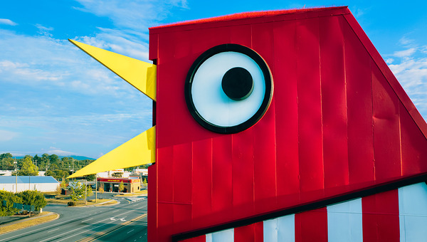 THE BIG CHICKEN Digital Download