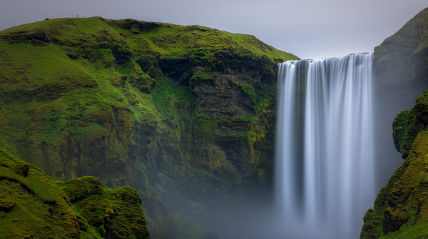 SK GAFOSS Digital Download