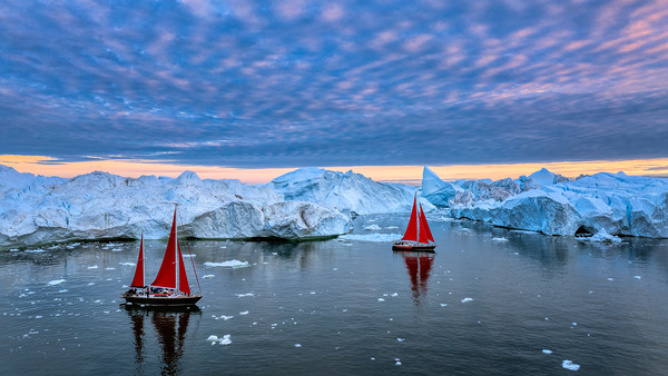 RED DUO Digital Download