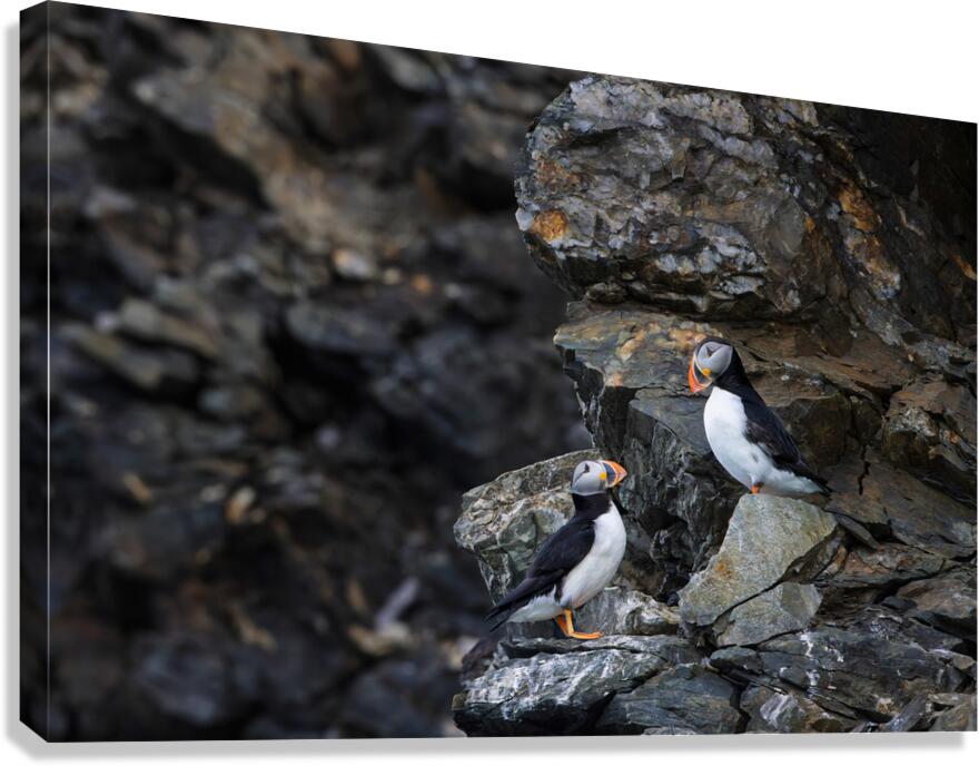 The Proposal Canvas Print