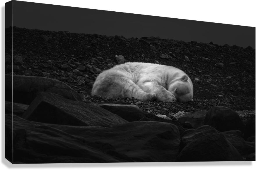 DREAMING OF ICE Impression sur toile