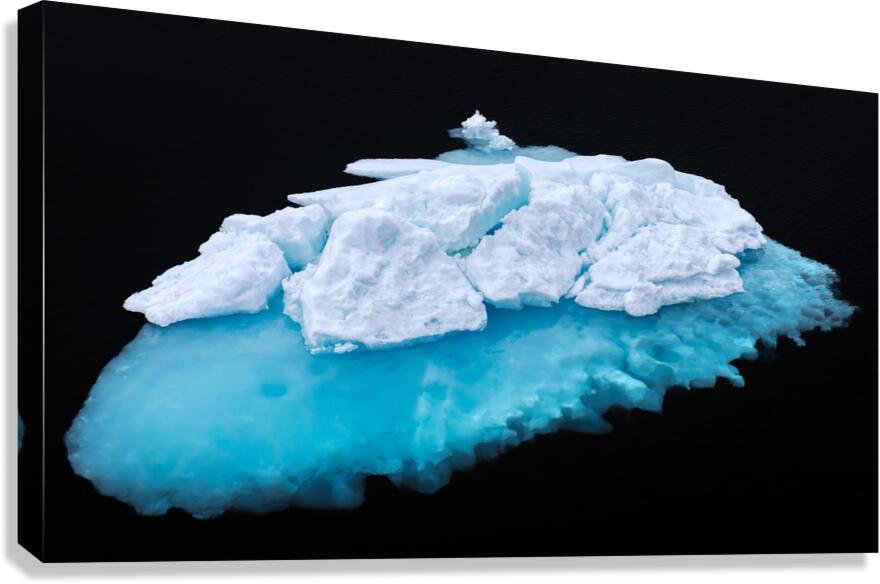 JELLYFISH ICEBERG Canvas Print