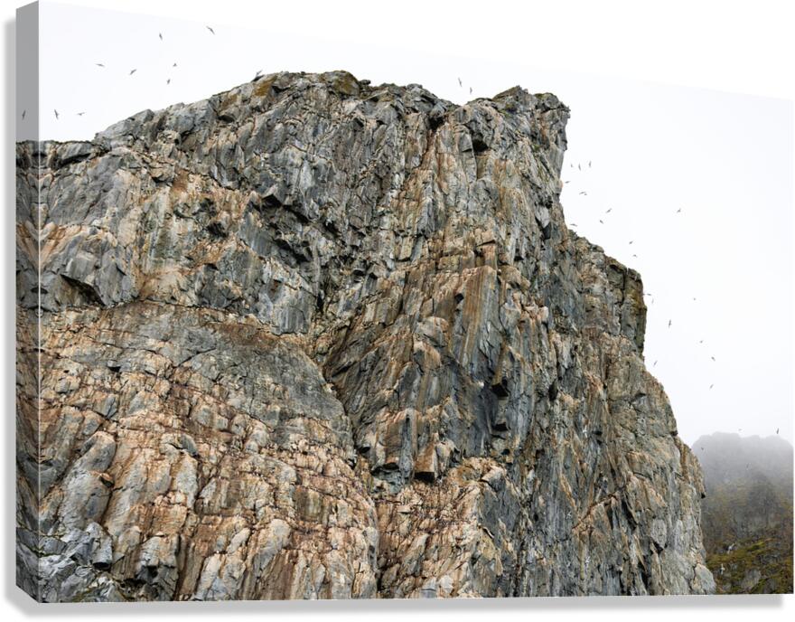 AVIAN HIGH RISE Canvas Print