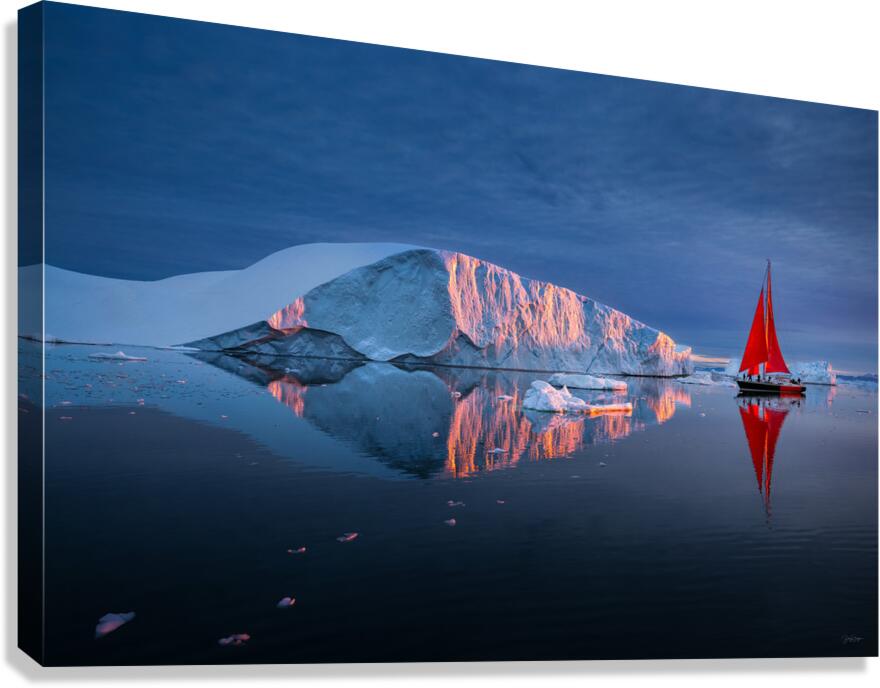 SYMMETRY Canvas Print