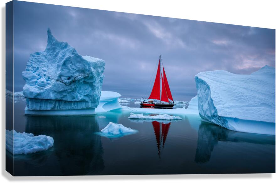 CHINESE DRAGON Canvas Print