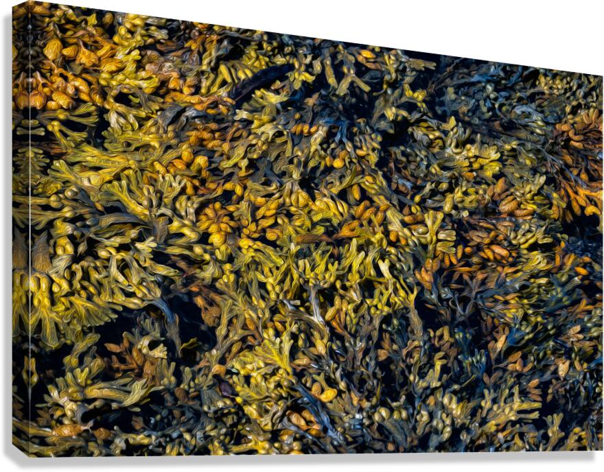 TAPESTRY DU FRANC Canvas Print