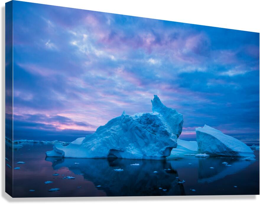 RABBIT ICE Canvas Print