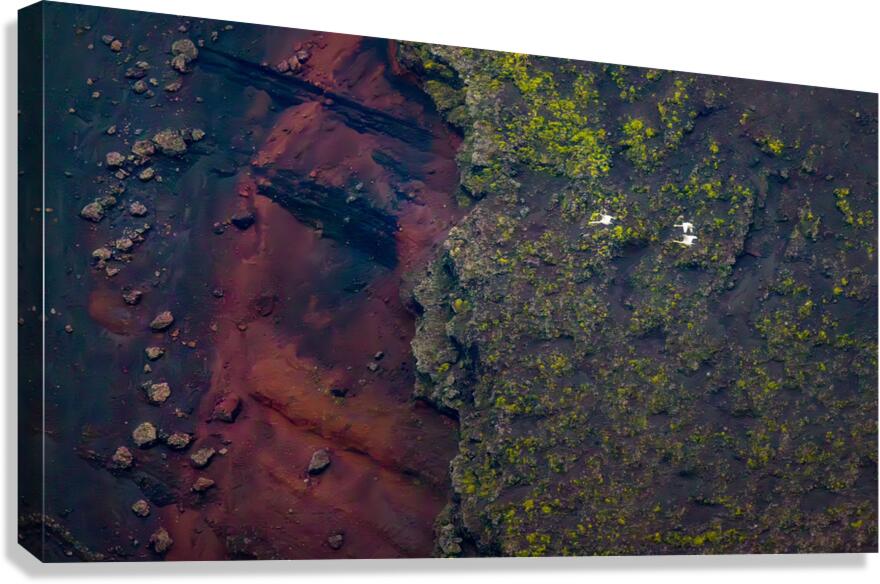 GEESE IN FLIGHT | HNAUSAPOLLUR Canvas Print