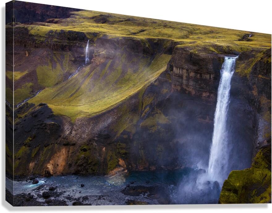 HAIFOSS Canvas Print