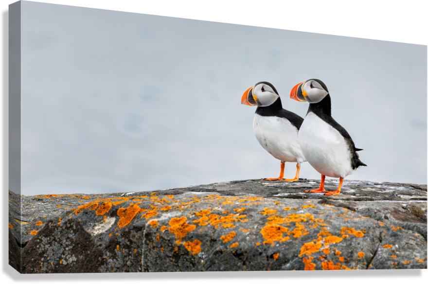 PARTNERS Canvas Print