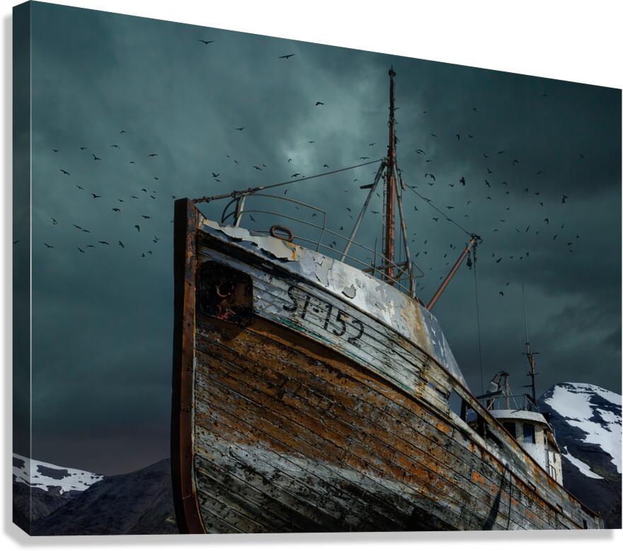 OUT OF ITS ELEMENT Canvas Print