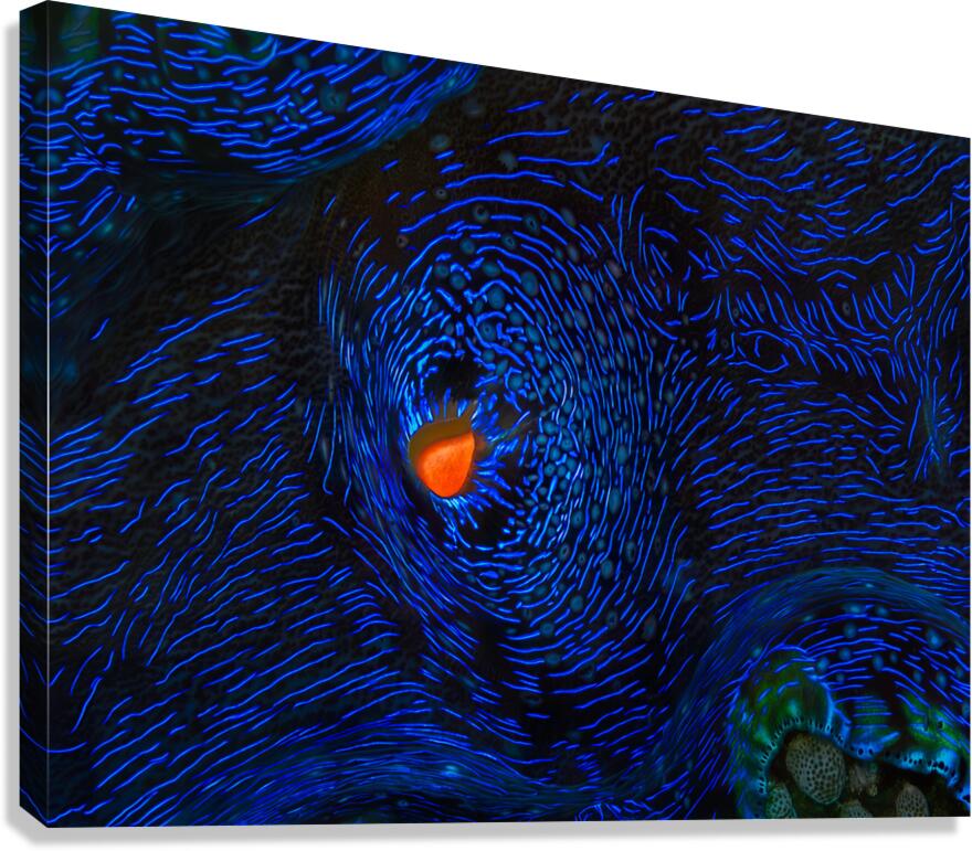 MONET S CLAM Canvas Print