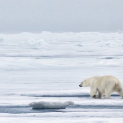EMPRESS OF THE ARCTIC 9