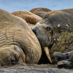 WHAT ARE YOU LOOKING AT