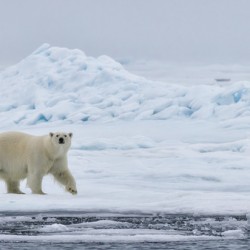 EMPRESS OF THE ARCTIC 4