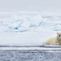 EMPRESS OF THE ARCTIC